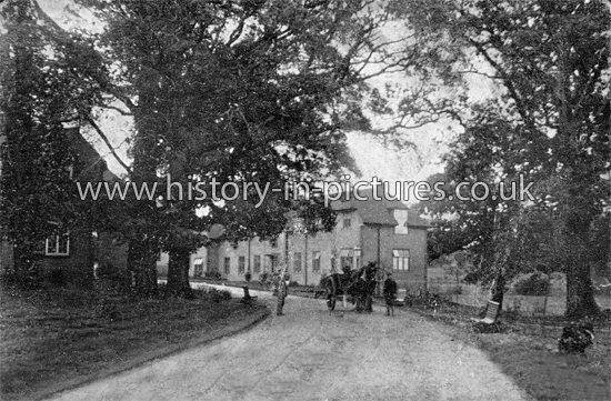 Along the Entrance Drive to the Boys Garden City, Woodford Bridge, Essex. c.1918